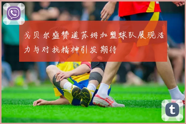 戈贝尔盛赞道苏姆加盟球队展现活力与对抗精神引发期待