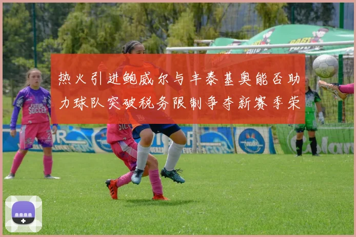 热火引进鲍威尔与丰泰基奥能否助力球队突破税务限制争夺新赛季荣誉
