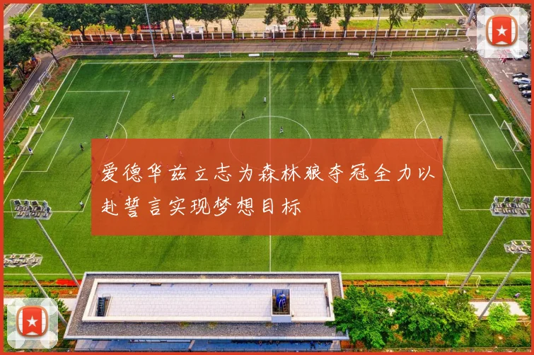 爱德华兹立志为森林狼夺冠全力以赴誓言实现梦想目标